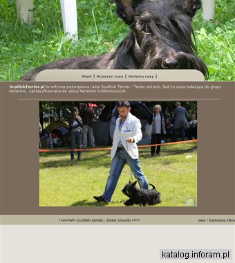 Scottish Terrier - Terier szkocki