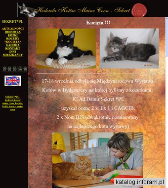 SEKRET*PL - hodowla kotów rasy maine coon, kocięta. Maine coon.