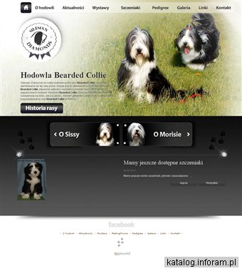 Bearded collie