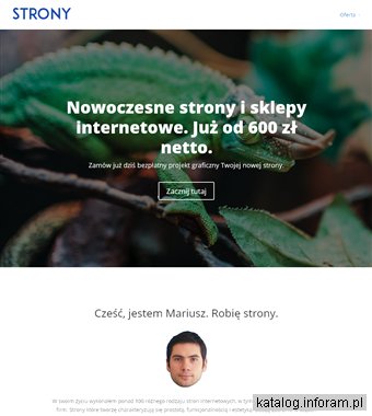 Strony.biz - opieka nad stroną www