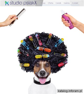 Psi fryzjer Bydgoszcz - studiopsiaka.pl