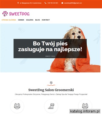 Groomer Częstochowa - SweetDog.czest.pl