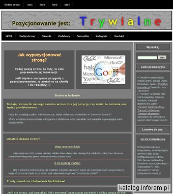 Jak wypozycjonować stronę