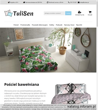 Tulisen