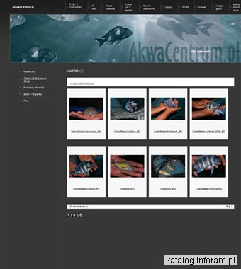 AkwaCentrum.pl - hodowla tropheusów, serwis akwarii