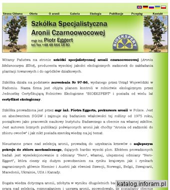 Sadzonki aronii czarnoowocowej