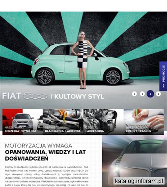 Samochody dostawcze pomorskie - Auto-Mobil