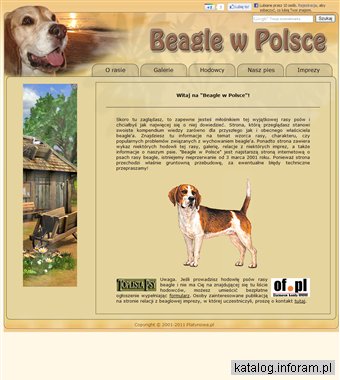 Beagle w Polsce