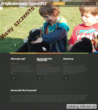 Berneński pies pasterski