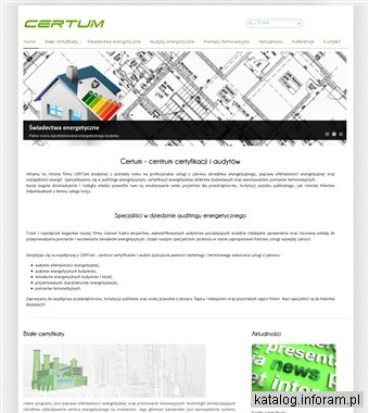 Audytor efektywności