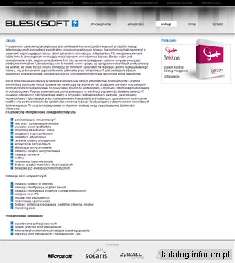 Usługi informatyczne | BleskSoft