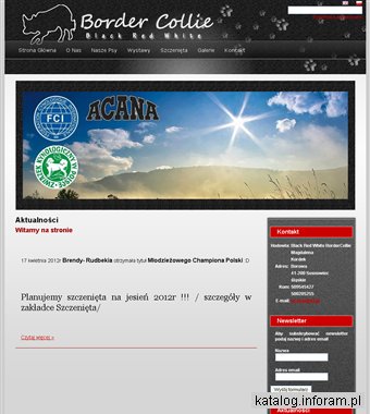 Hodowla Border Colllie