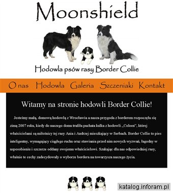 Hodowla psów border collie