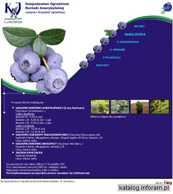 Borówka amerykańska