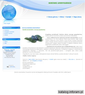 Borówka wysoka-gospodarstwo sadownicze