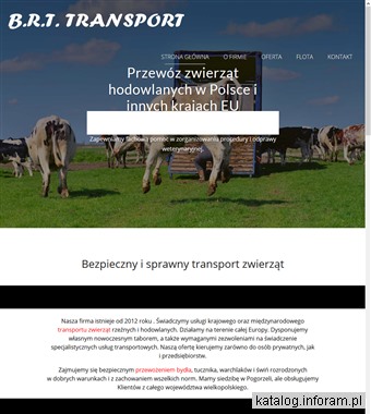 www.brt-transport.pl