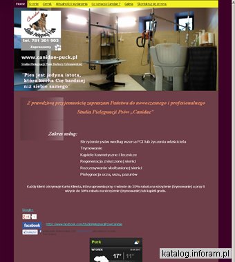 Psi fryzjer Puck - www.canidae-puck.pl