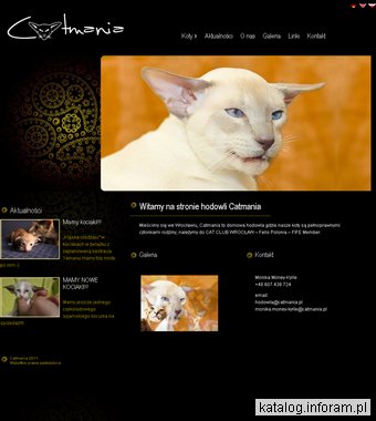 Hodowla kotów orientalnych