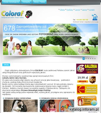 Drzewo genealogiczne - fototapety - zdjęcia na płótnie