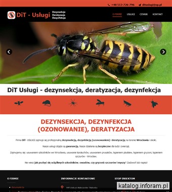 DiT - Usługi Aleksander Zielonka