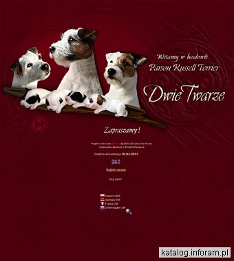 Parson Russell Terrier - Hodowla psów Dwie Twarze