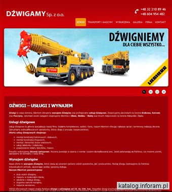 www.dzwigamy.pl