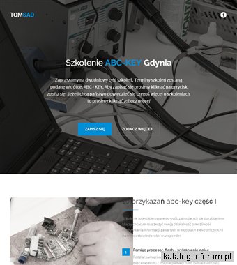 Elektronika Samochodowa