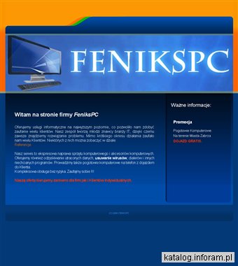 FeniksPC usługi komputerowe