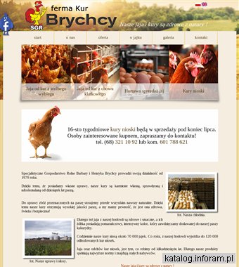 Hurtowa sprzedaż kur niosek Brychcy