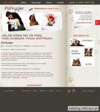 PSI FRYZJER Zabiegi kosmetyczne psów Gliwice