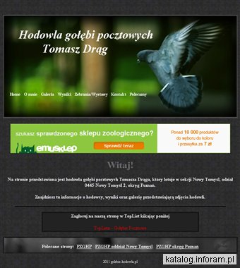 Hodowla gołębi pocztowych Tomasz Drąg