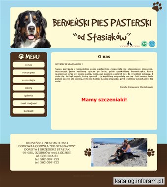 Berneński Pies Pasterski- Hodowla "Od Stasiaków"
