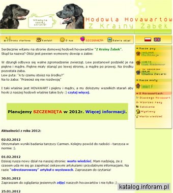 HOVAWART: hodowla z Krainy Żabek, szczenięta hovawart, reproduktor