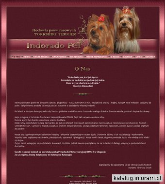 Indorado FCI Hodowla Yorkshire Terrier