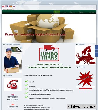 Profesjonalnie Paczka do Polski na czas