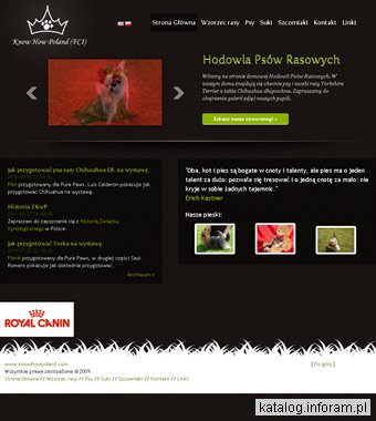 Yorki - yorkshire terrier