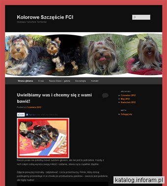 Hodowla yorkshire terrierów Kolorowe Szczęście FCI