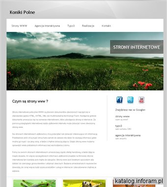 Agencja interaktywna