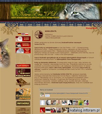 Hodowla kotów syberyjskich