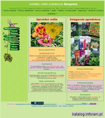 Szkółka roślin ozdobnych Bergenia - hurt, detal, wysyłka