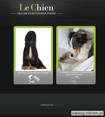 Strzyżenie psów Kraków