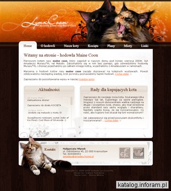 Maine coon - koty rasowe