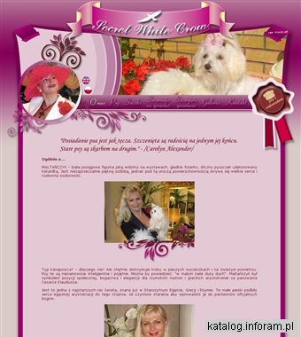 Hodowla Maltańczyków