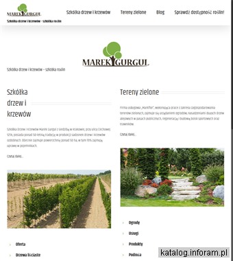 Trawa z rolki Kraków