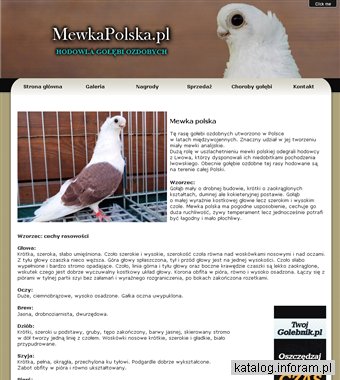 Hodowla gołębi ozdobnych - mewka polska