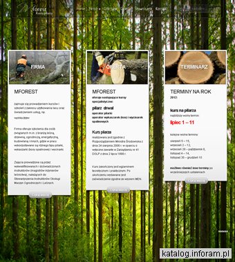 Wycinka drzew, kurs na pilarz drwal