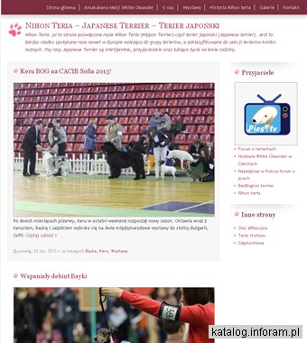 Nippon Terrier - Terier japoński