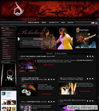 OCELOT - sztuka, sport, pasja