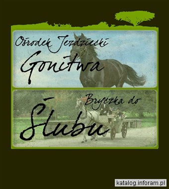 Bryczki do ślubu Śląsk