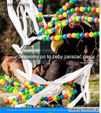 Psie przedszkole Katowice - passionblog.com.pl